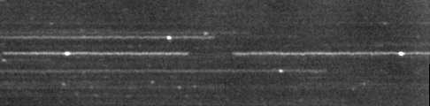 Hera occultation - 2005 April 1 - Raw Image