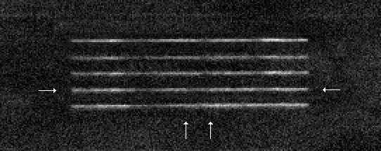 Melpomene occultation - 2008 August 21