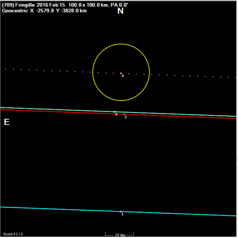 Fringilla occultation__ 2016 Feb 15